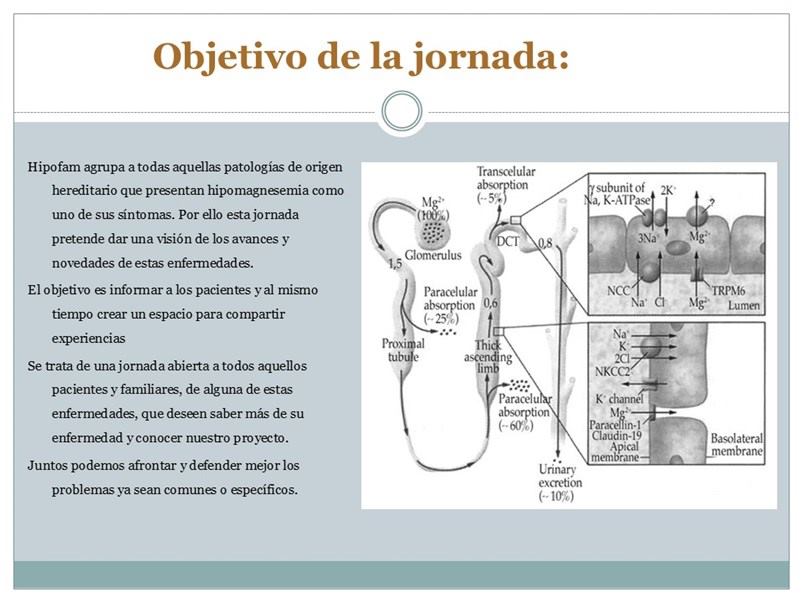 Diapositiva3